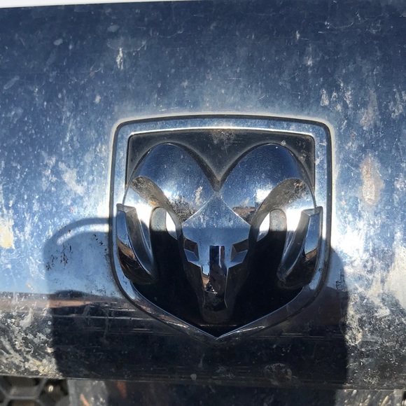 Meet your Posher, Fred - Picture 1 of 1